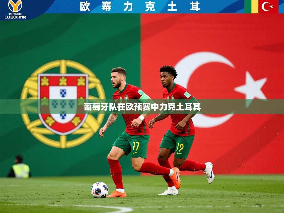2025 直播官网葡萄牙队在欧预赛中力克土耳其 第1张